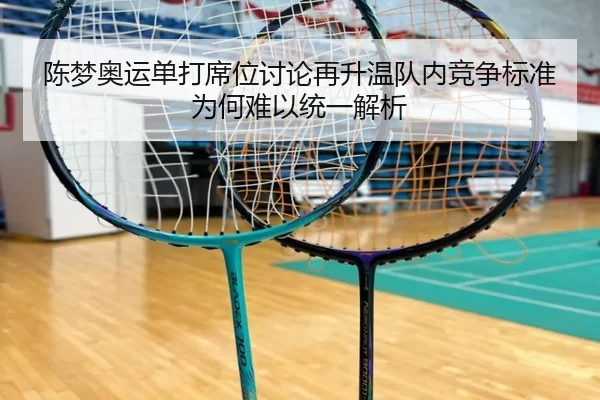 陈梦奥运单打席位讨论再升温队内竞争标准为何难以统一解析